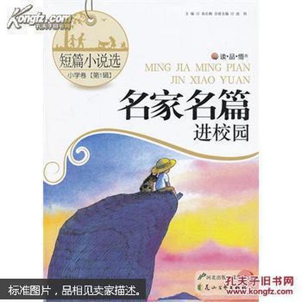 昂山素季：世界上没有任何一个国家能在勤勉上超越中国