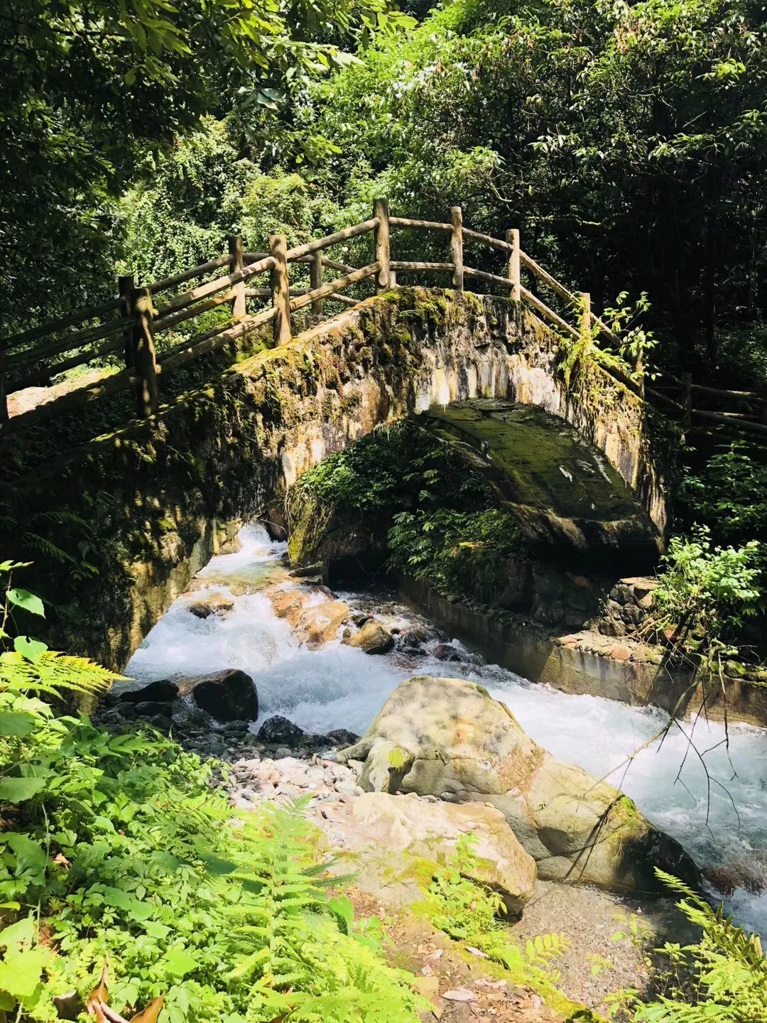 滚动的奶酪