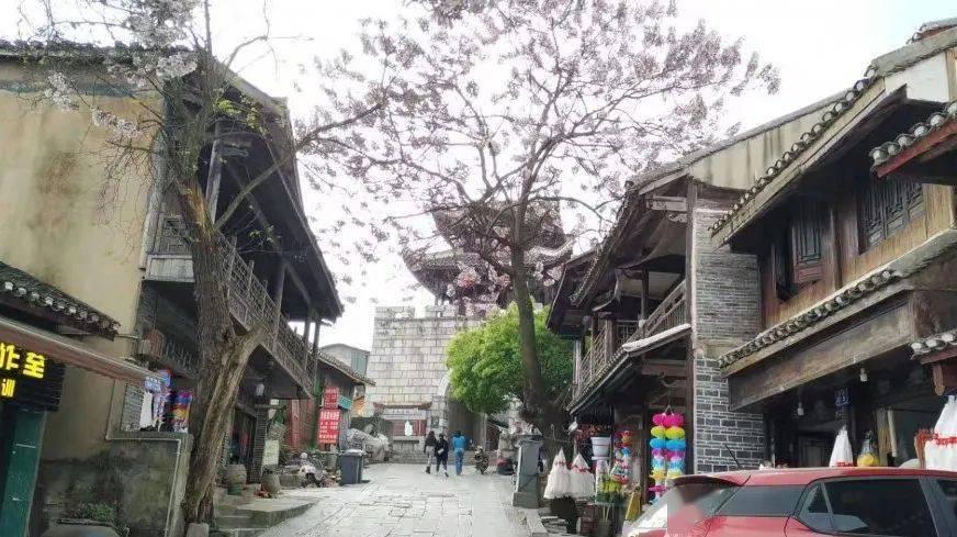 逃离未知丛林